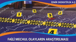 Faili Meçhul Olayların Araştırılması